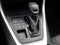 2019 Toyota RAV4 XLE AWD (Natl)