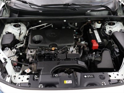 2019 Toyota RAV4 XLE AWD (Natl)