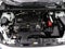 2019 Toyota RAV4 XLE AWD (Natl)