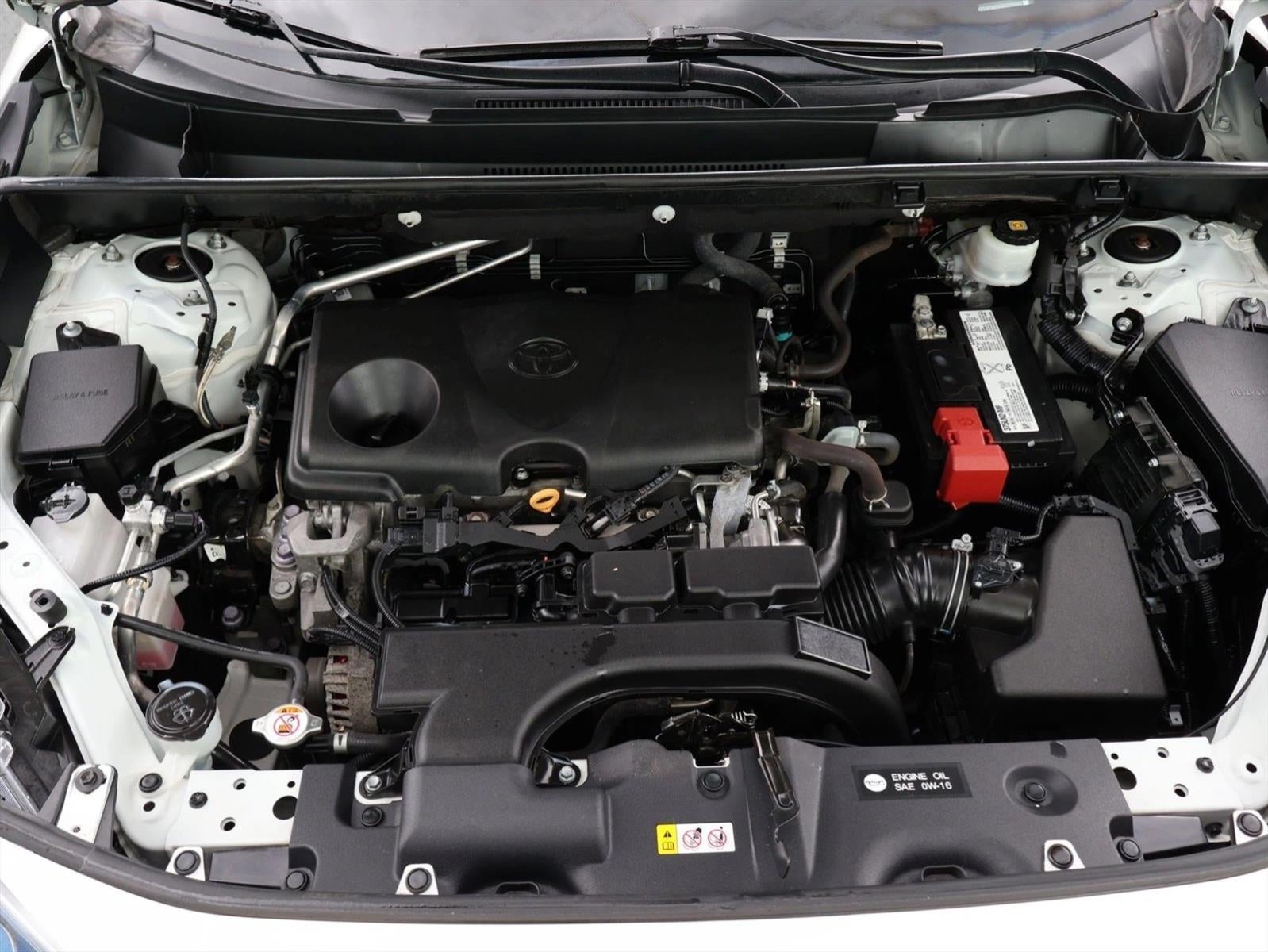 2019 Toyota RAV4 XLE AWD (Natl)