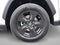 2019 Toyota RAV4 XLE AWD (Natl)