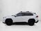 2019 Toyota RAV4 XLE AWD (Natl)