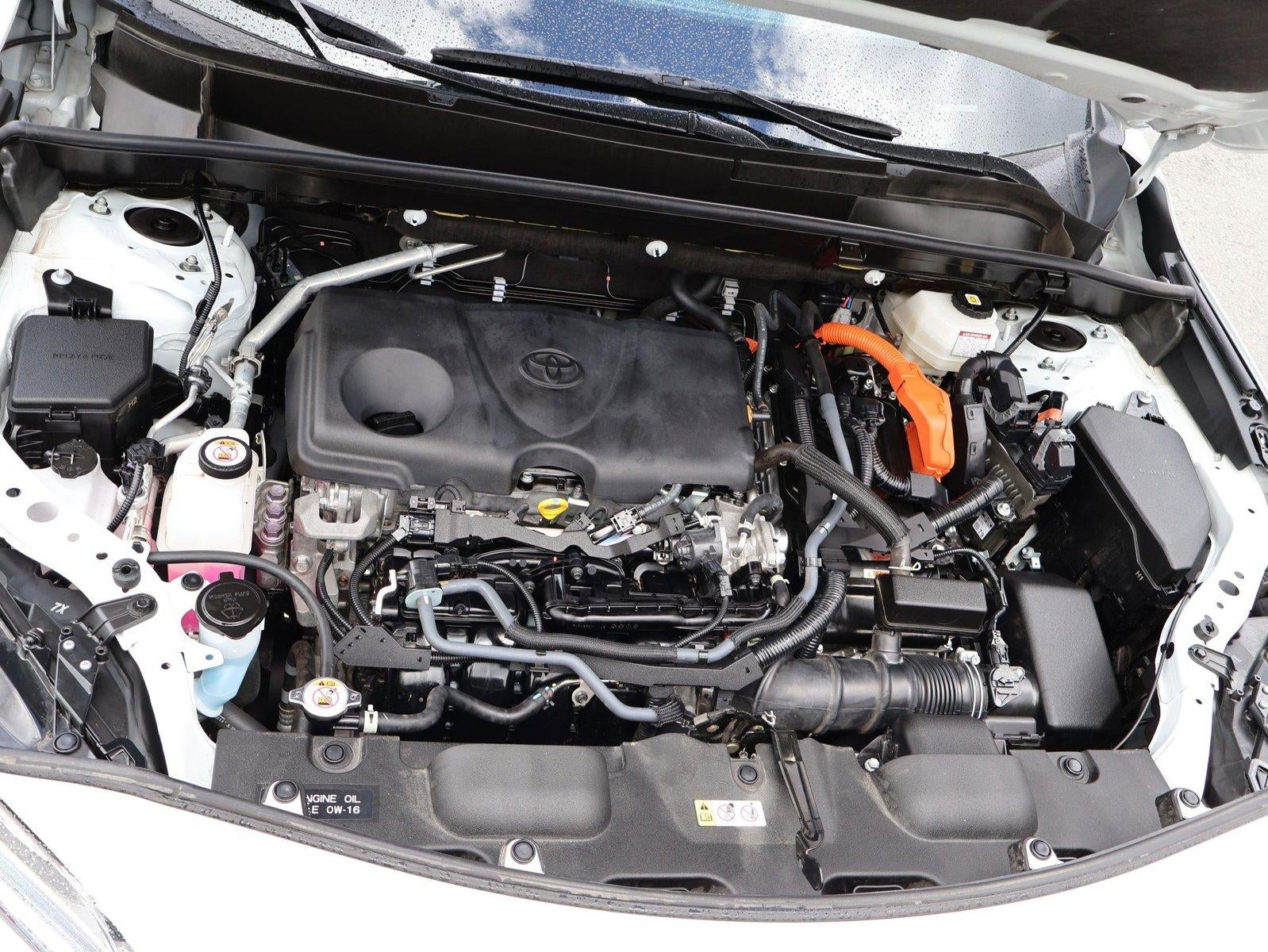 2023 Toyota Venza XLE AWD (Natl)