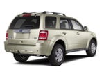 2010 Ford Escape FWD 4dr XLT