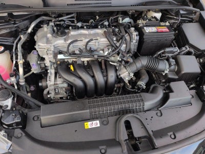 2021 Toyota Corolla LE CVT (Natl)