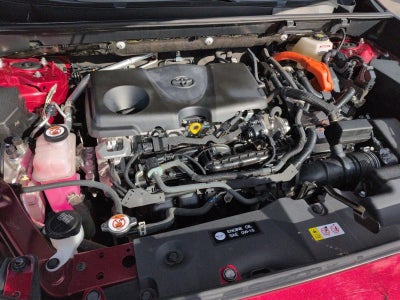 2022 Toyota RAV4 Hybrid LE AWD (Natl)