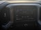 2020 Chevrolet Silverado 1500 Crew Cab Short Box 4-Wheel Drive Custom Trail Boss