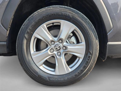 2025 Toyota RAV4 XLE AWD (Natl)