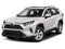 2019 Toyota RAV4 XLE FWD (GS)