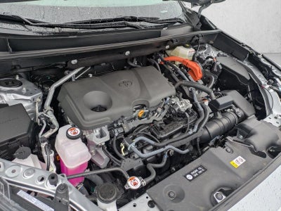 2025 Toyota RAV4 Hybrid LE AWD (Natl)
