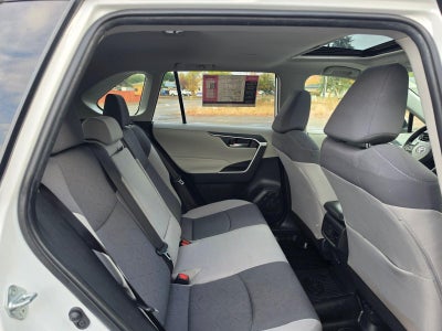 2019 Toyota RAV4 XLE AWD (Natl)