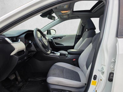 2019 Toyota RAV4 XLE AWD (Natl)