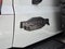 2024 Ford Bronco Raptor 4 Door Advanced 4x4