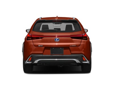 2021 Lexus UX 250h F SPORT AWD